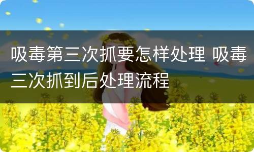 吸毒第三次抓要怎样处理 吸毒三次抓到后处理流程
