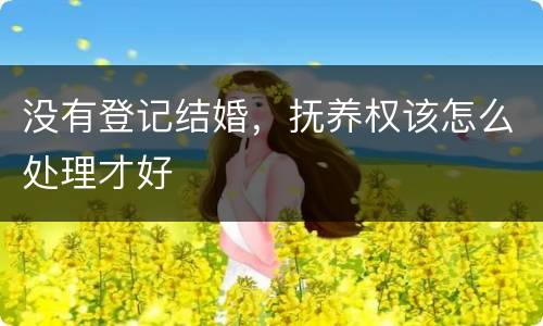 没有登记结婚，抚养权该怎么处理才好