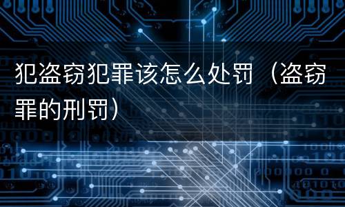 犯盗窃犯罪该怎么处罚（盗窃罪的刑罚）
