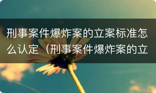 刑事案件爆炸案的立案标准怎么认定（刑事案件爆炸案的立案标准怎么认定）