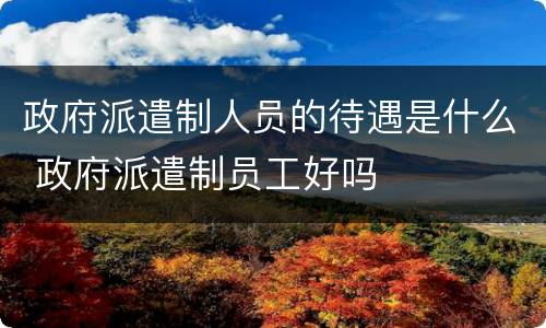 政府派遣制人员的待遇是什么 政府派遣制员工好吗