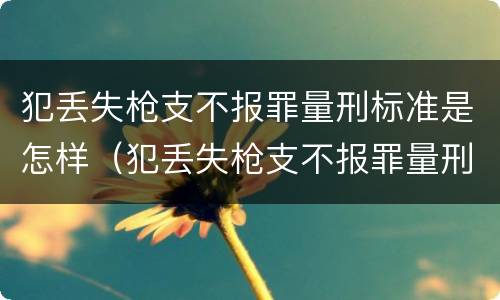 犯丢失枪支不报罪量刑标准是怎样（犯丢失枪支不报罪量刑标准是怎样计算的）