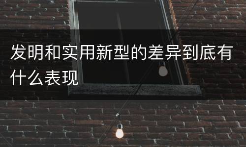 发明和实用新型的差异到底有什么表现