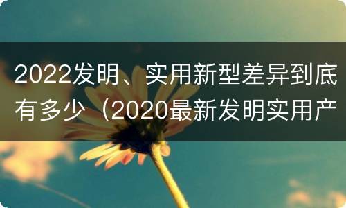 2022发明、实用新型差异到底有多少（2020最新发明实用产品）