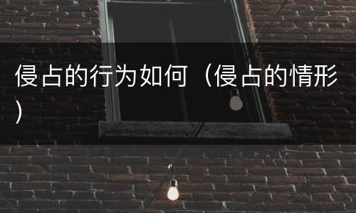 侵占的行为如何（侵占的情形）