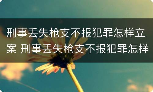 刑事丢失枪支不报犯罪怎样立案 刑事丢失枪支不报犯罪怎样立案的