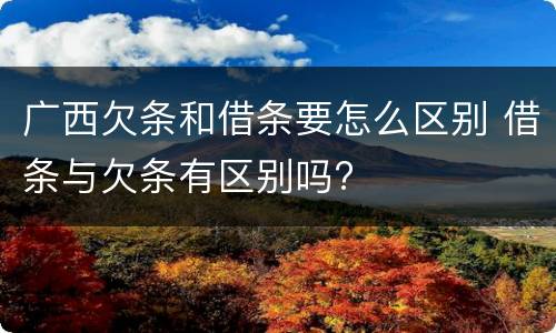 广西欠条和借条要怎么区别 借条与欠条有区别吗?