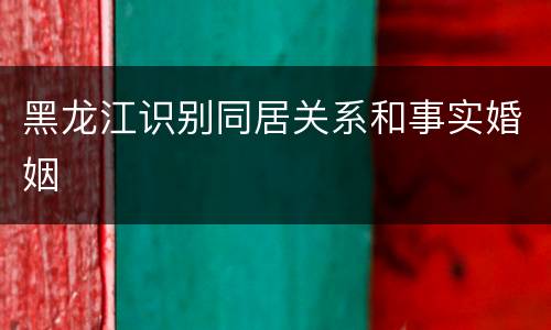 黑龙江识别同居关系和事实婚姻