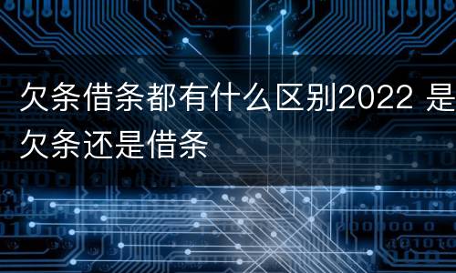 欠条借条都有什么区别2022 是欠条还是借条