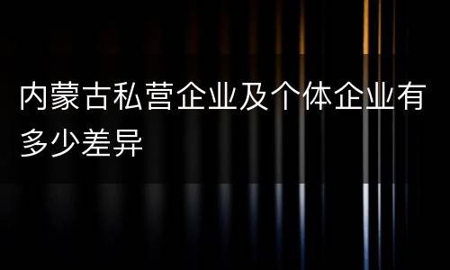 内蒙古私营企业及个体企业有多少差异