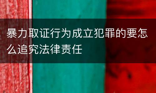 暴力取证行为成立犯罪的要怎么追究法律责任