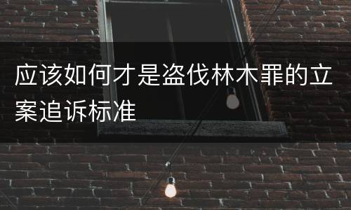 应该如何才是盗伐林木罪的立案追诉标准