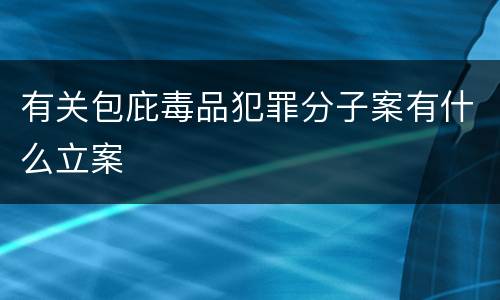 有关包庇毒品犯罪分子案有什么立案