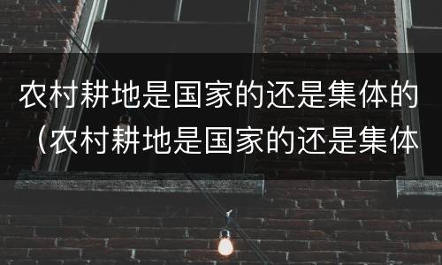 农村耕地是国家的还是集体的（农村耕地是国家的还是集体的呢）