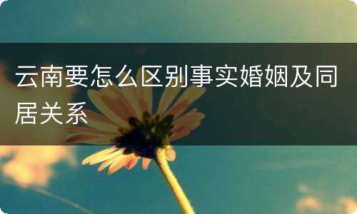 云南要怎么区别事实婚姻及同居关系