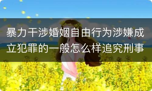 暴力干涉婚姻自由行为涉嫌成立犯罪的一般怎么样追究刑事责任
