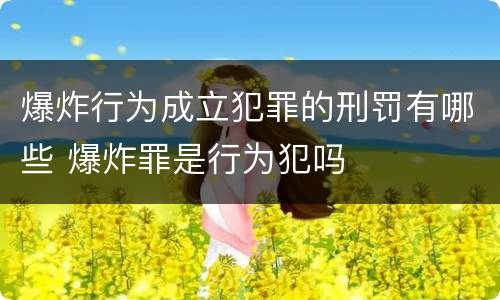 爆炸行为成立犯罪的刑罚有哪些 爆炸罪是行为犯吗