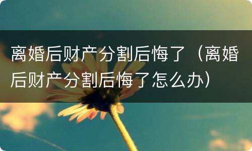 离婚后财产分割后悔了（离婚后财产分割后悔了怎么办）