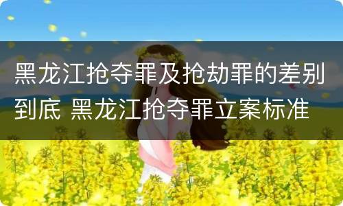 黑龙江抢夺罪及抢劫罪的差别到底 黑龙江抢夺罪立案标准