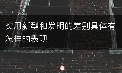 实用新型和发明的差别具体有怎样的表现