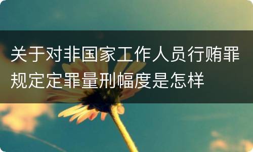 关于对非国家工作人员行贿罪规定定罪量刑幅度是怎样