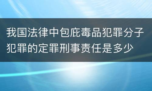 我国法律中包庇毒品犯罪分子犯罪的定罪刑事责任是多少
