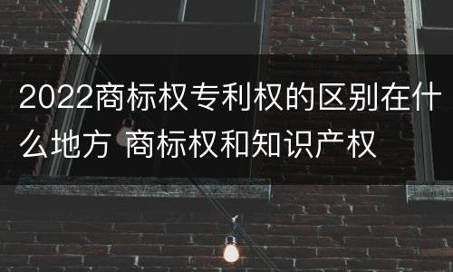 2022商标权专利权的区别在什么地方 商标权和知识产权