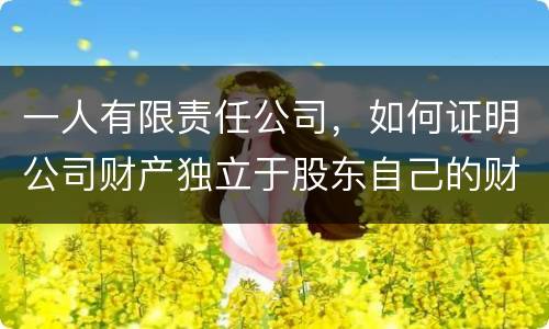 一人有限责任公司，如何证明公司财产独立于股东自己的财产