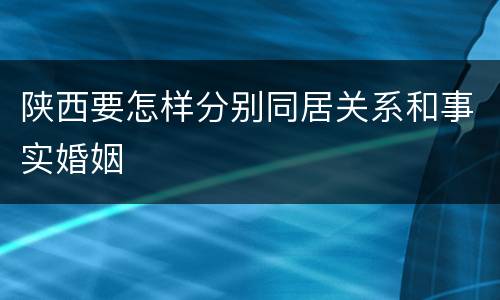 陕西要怎样分别同居关系和事实婚姻
