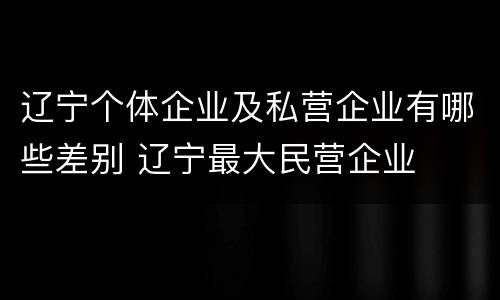 辽宁个体企业及私营企业有哪些差别 辽宁最大民营企业