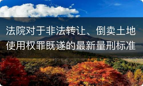 法院对于非法转让、倒卖土地使用权罪既遂的最新量刑标准