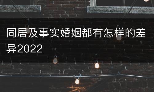 同居及事实婚姻都有怎样的差异2022