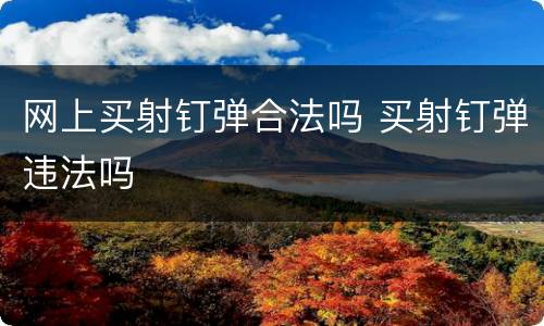 网上买射钉弹合法吗 买射钉弹违法吗