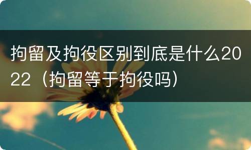 拘留及拘役区别到底是什么2022（拘留等于拘役吗）