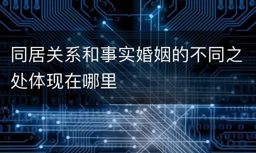 同居关系和事实婚姻的不同之处体现在哪里