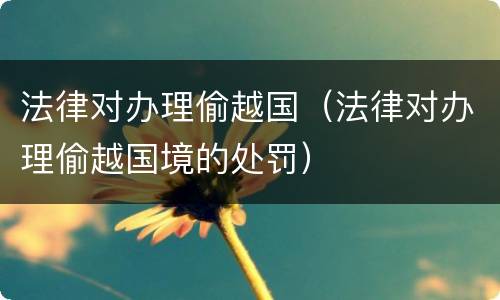 法律对办理偷越国（法律对办理偷越国境的处罚）