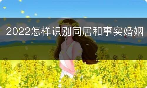 2022怎样识别同居和事实婚姻