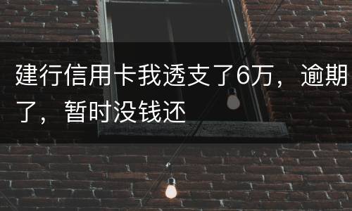 建行信用卡我透支了6万，逾期了，暂时没钱还