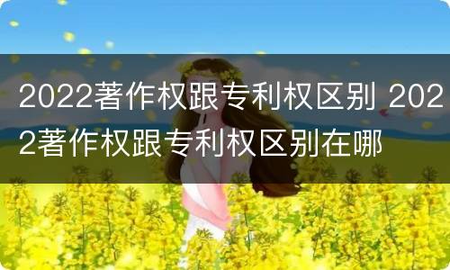 2022著作权跟专利权区别 2022著作权跟专利权区别在哪