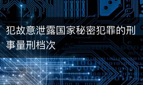 犯故意泄露国家秘密犯罪的刑事量刑档次