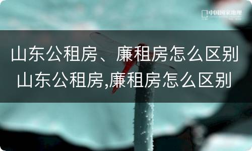 山东公租房、廉租房怎么区别 山东公租房,廉租房怎么区别的