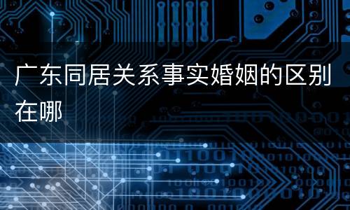 广东同居关系事实婚姻的区别在哪