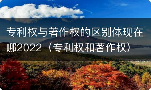 专利权与著作权的区别体现在哪2022（专利权和著作权）
