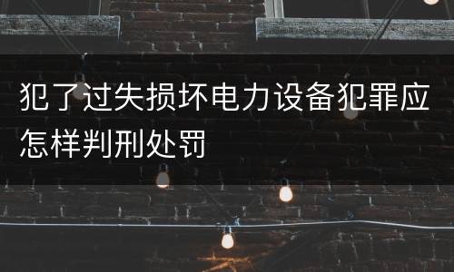 犯了过失损坏电力设备犯罪应怎样判刑处罚