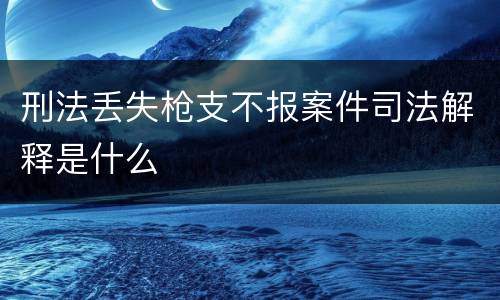 刑法丢失枪支不报案件司法解释是什么