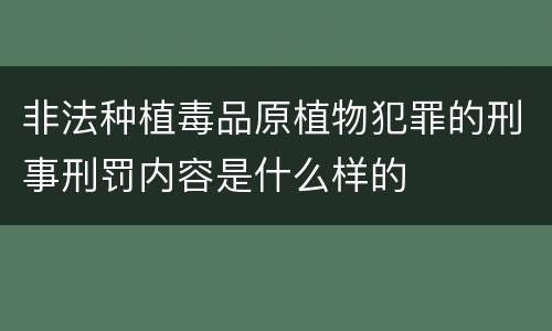 非法种植毒品原植物犯罪的刑事刑罚内容是什么样的