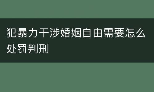 犯暴力干涉婚姻自由需要怎么处罚判刑