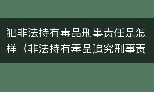 犯非法持有毒品刑事责任是怎样（非法持有毒品追究刑事责任吗）