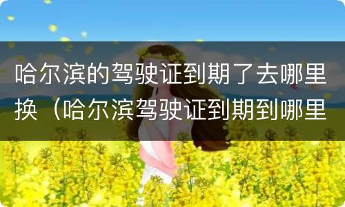哈尔滨的驾驶证到期了去哪里换（哈尔滨驾驶证到期到哪里去换）