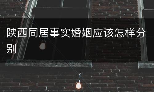 陕西同居事实婚姻应该怎样分别